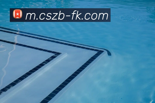 彩神争霸服务体系